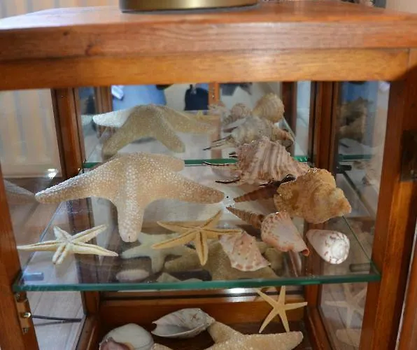 Huize Maurits Den Haag